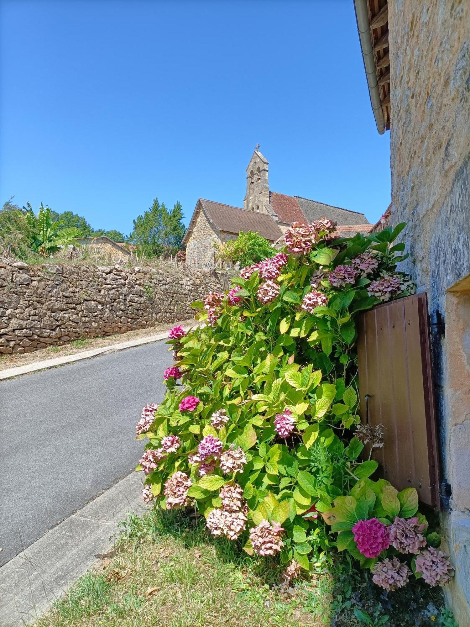 Maison Typique Avec Piscine Privee - 6Km Sarlat Saint-Andre-d'Allas Ngoại thất bức ảnh
